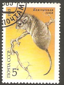 5242 - Fauna de la URSS