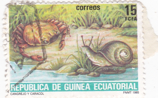 CANGREJO Y CARACOL