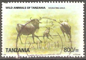 ANIMALES  SALVAJES  DE  TANZANIA.  LA  MIGRACIÒN  DE  ÑUS.