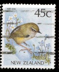 ROCK WREN