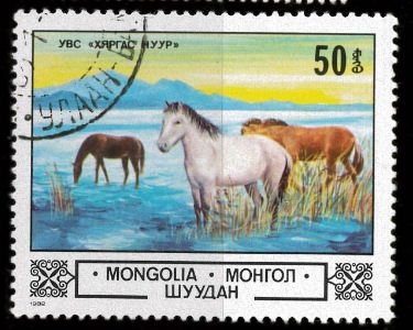 PINTURA CABALLOS