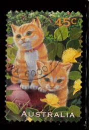 GATITOS