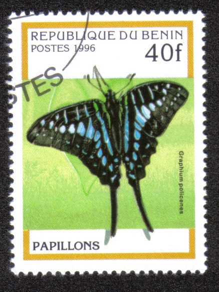 Mariposa