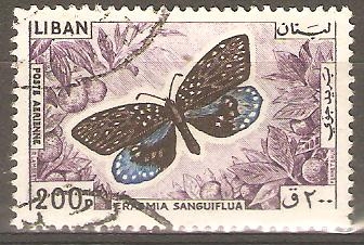 MARIPOSAS.  ERASMIA  SANGUIFLUA.