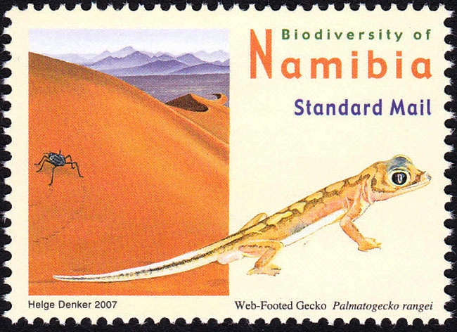 NAMIBIA - Arenal de Namib