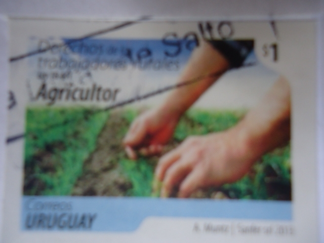 Agricultor -Uruguay