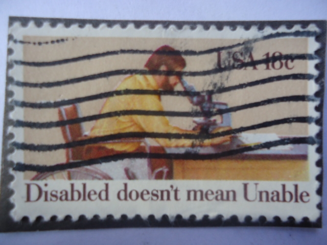 USA- Discapacidad no significa, no