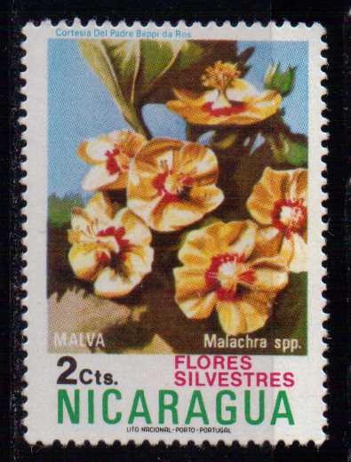 962- Flores