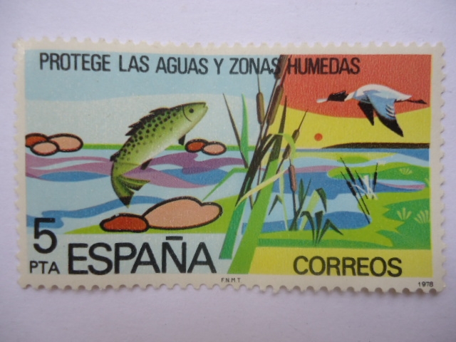 Ed. 2470 - Proteje las Aguas y Zonas Humedas.