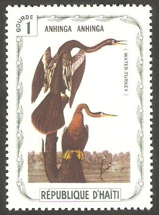 Fauna, anhinga anhinga