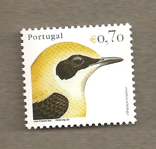 Palomas