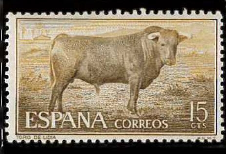 TORO DE LIDIA