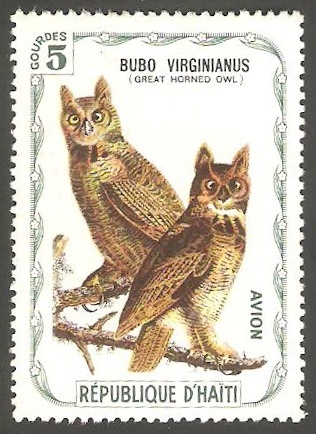 Fauna, búhos