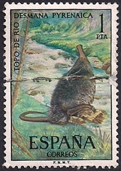 Fauna hispanica