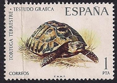 Fauna hispanica