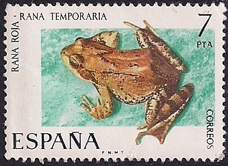 Fauna hispanica
