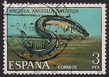 Fauna hispanica