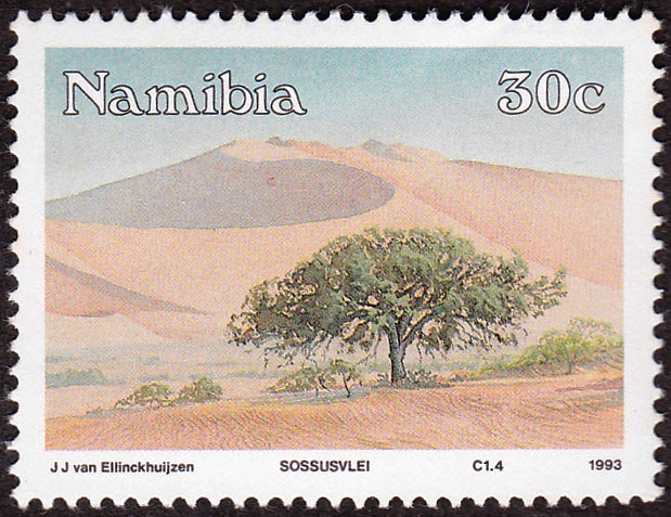 NAMIBIA - Arenal de Namib