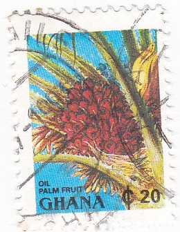 FRUTA DE LA PALMA