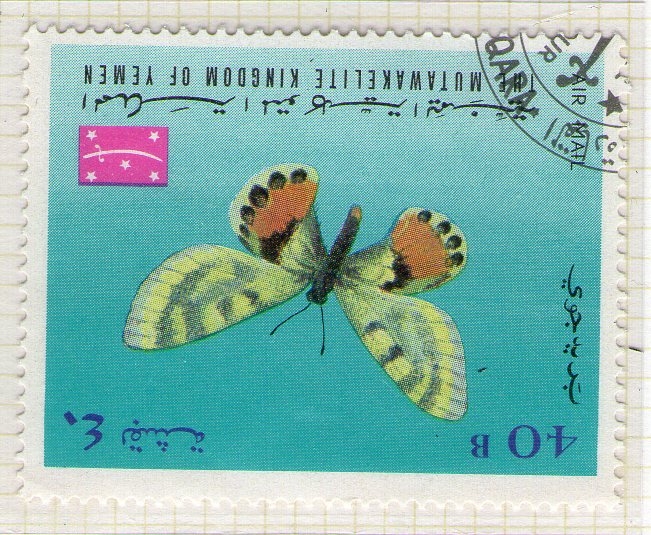 54 Mariposa