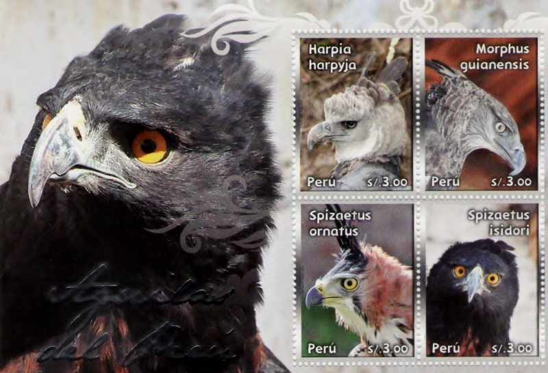Aguilas del Perú