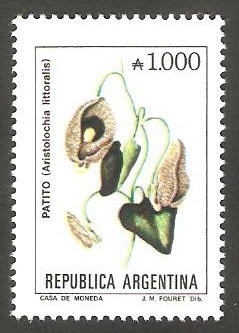 1708  - Flor aristolochia littoralis