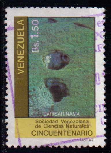 Sociedad Venezolana de Ciencias Naturales