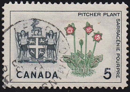 SG 552