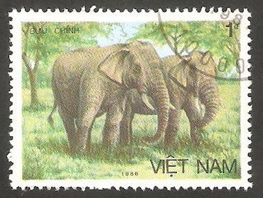774 - Elefante de Asia