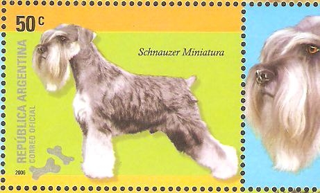 RAZAS  CANINAS.  SCHNAUZER  MINIATURA.