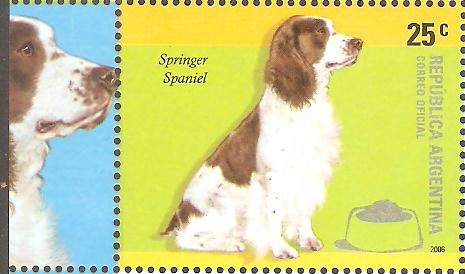 RAZAS  CANINAS.  SPRINGER  SPANIEL.