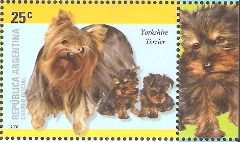 RAZAS  CANINAS.  YORKSHIRE  TERRIER.