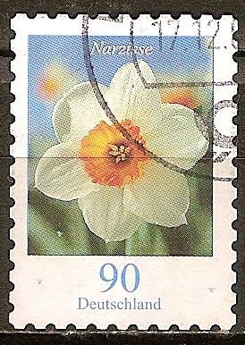  Narciso.