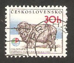  2172 - Exposición agrícola, un carnero