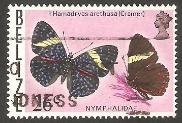 Mariposa