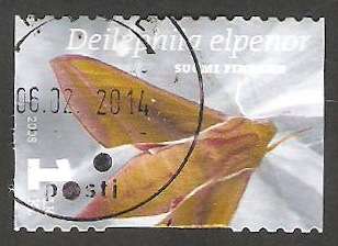 1889 - Mariposa deilephila elpenor