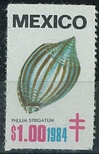 PHUUM STRIGATUM