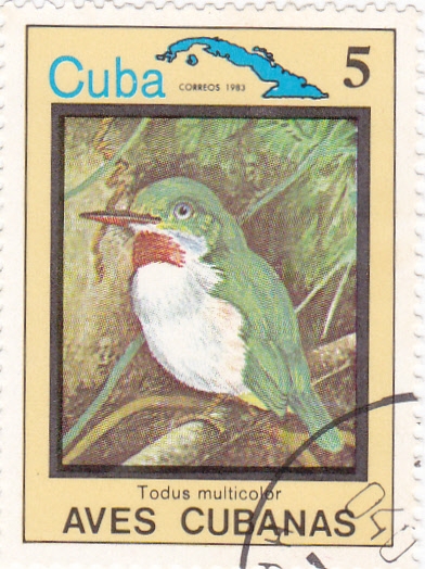 Todus multicolor - AVES CUBANAS