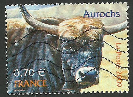 Fauna, aurochs