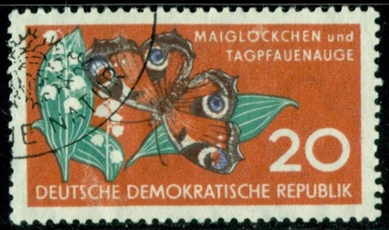 405 -  Flor y mariposa
