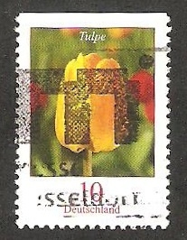 2309 a - Flor tulipan amarillo