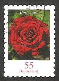 2495 - Flor rosa roja