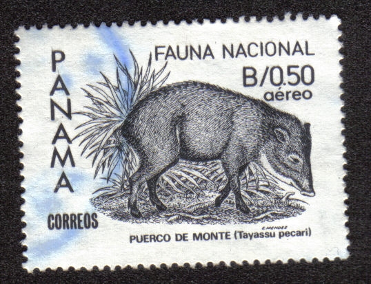 Fauna Nacional