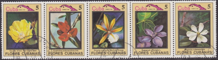 Floras cubanas