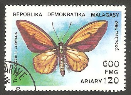 Mariposa