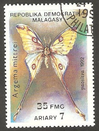 Mariposa