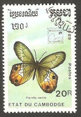 Mariposa