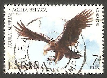 2137 - Águila imperial