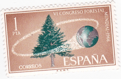 VI Congreso forestal mundial (15)