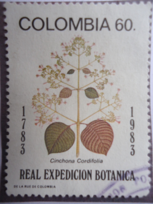 Doscientos años de la Expedición Botánica 1783-1983- Cinchona Cordifolia 